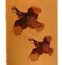 detail_image2